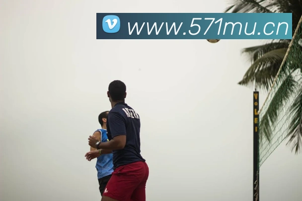 电子娱乐pg网站平台生态图